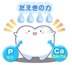 八千代市（八千代緑が丘）の歯医者、公園都市プラザわかば歯科で、むし歯になりやすい人、歯周病になりやすい人。その境界線と「自分に合った予防法」の正解について解説